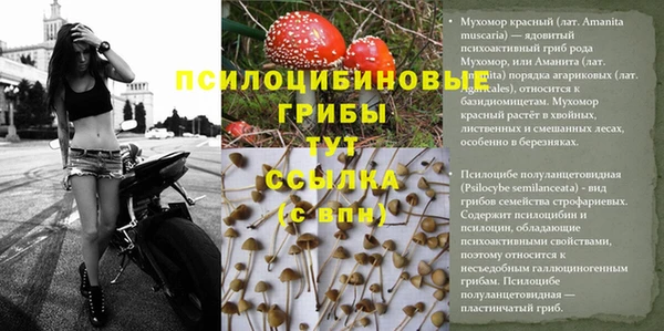 прущая мука Навашино