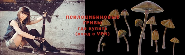 винт Абаза